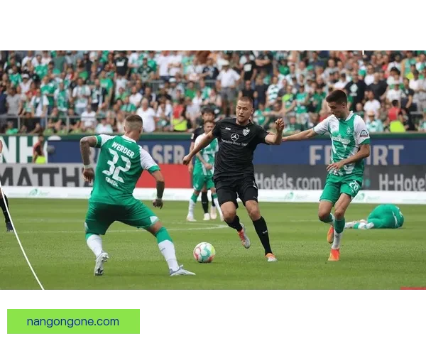 云达不来梅俱乐部的历史沿革与未来发展战略探讨